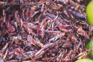 Chapulines