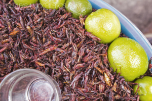 Chapulines con limón