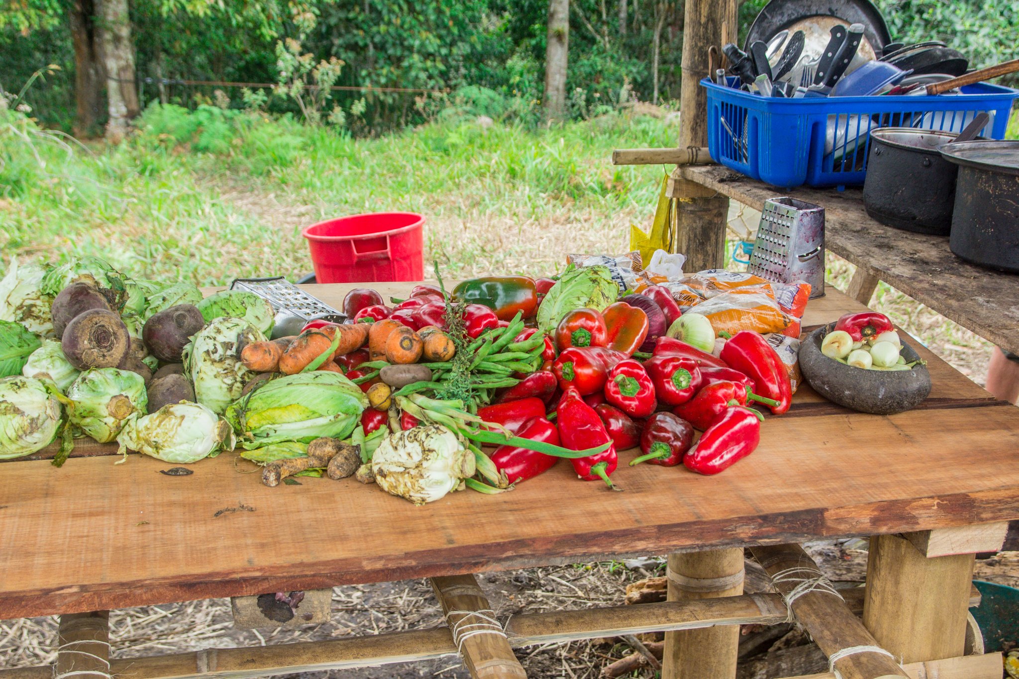 Comida en el Arcoiris