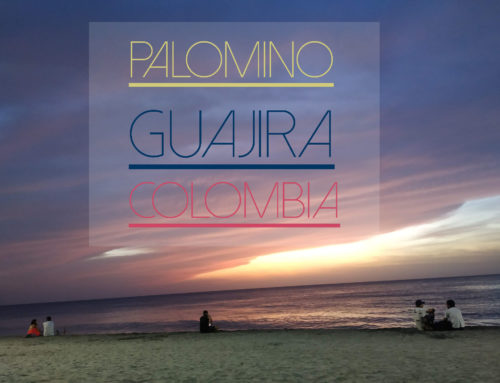 Palomino Guajira | La nieve se besa con el mar